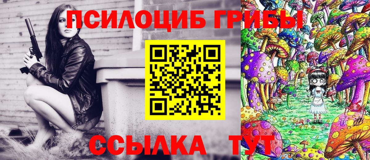 Псилоцибиновые грибы мицелий  Вход с VPN  Камышлов 